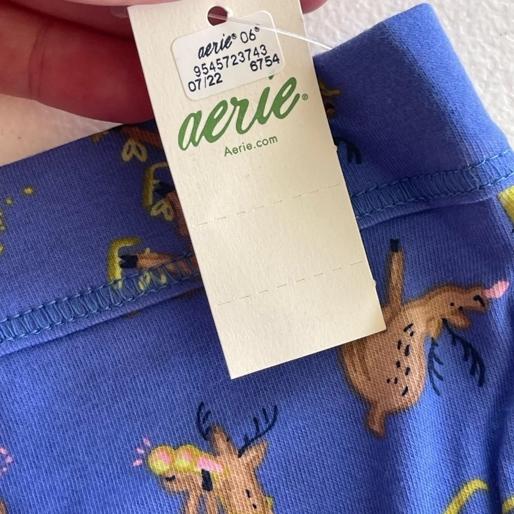 Aerie nwt blue reindeer games boy brief winter holiday panties